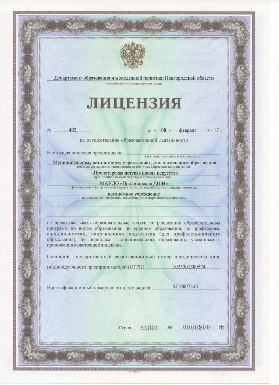 Лицензия 1